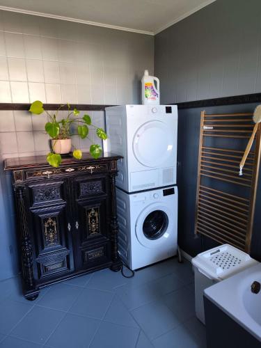 Η κουζίνα ή μικρή κουζίνα στο Die große Klecks mit Sauna