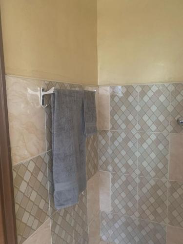a bathroom with a shower with a blue towel at Suzie's Nest in Lilongwe