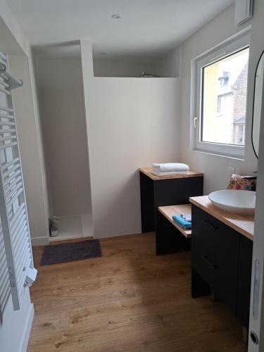 une salle de bain avec un lavabo et un miroir dans l'établissement Appartement rénové centre ville, à Quimper