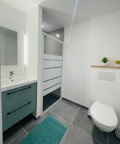 une salle de bain avec toilettes et lavabo dans l'établissement Éclat St Romain 2, studio-moderne-WIFI- parking - CLIM, à Saint-Romain-en-Gal