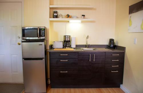a kitchen with a refrigerator and a microwave at Calm, cozy, urban, family-friendly stay in Vancouver