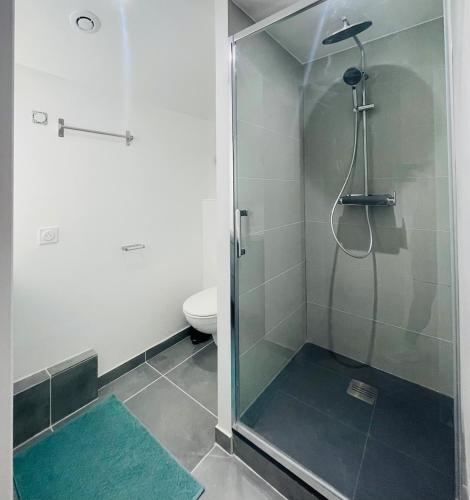 une douche avec une porte vitrée dans une salle de bain dans l'établissement Éclat St Romain n3, duplex - moderne - WIFI - CLIM- proche Vienne, à Saint-Romain-en-Gal