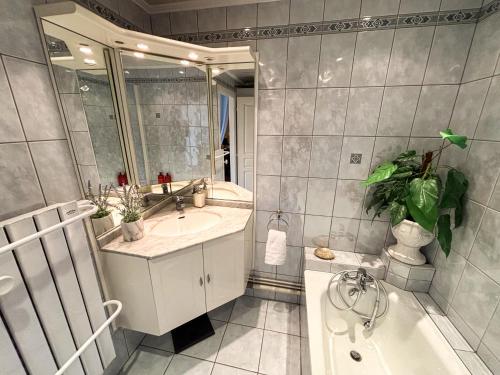 a bathroom with a tub and a sink and a bath tub at Le Green Field Lodge - Parking Gratuit - Standing - Centre Ville - Commerces à Proximité in Lingolsheim