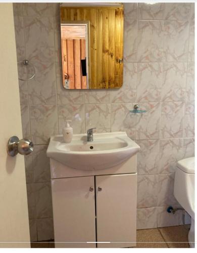 a bathroom with a sink and a mirror at Terra Patagónica in Puerto Tranquilo