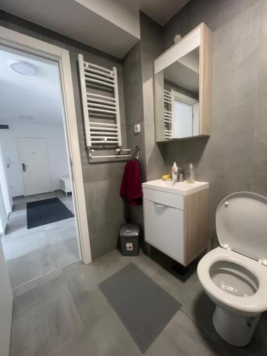a bathroom with a toilet and a sink and a mirror at Sassy in Belgrade