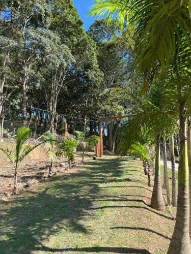 a row of palm trees in a park at Chácara Águas Claras in Monte Sião