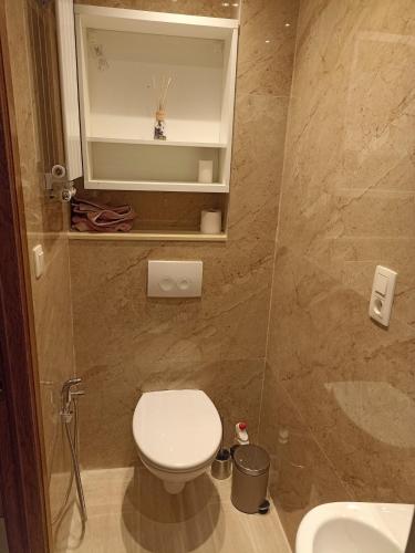 a bathroom with a toilet and a sink at Cosy house with 3 rooms and garden near beach in Ostend