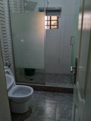 Benin CityにあるVIN-RUES Apartment and Suitesのトイレとガラスのシャワー付きのバスルーム