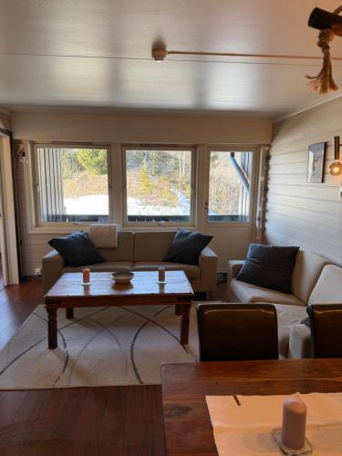 a living room with a couch and a table at Storehorn apartments, Hemsedal - 2 bedrooms, 5 beds in Torset