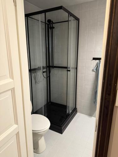 a bathroom with a shower and a toilet at Storehorn apartments, Hemsedal - 2 bedrooms, 5 beds in Torset