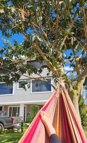 a person laying in a hammock under a tree at La Cuadra - Hospedaje en Puembo in Puembo