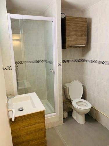 une salle de bain avec toilettes, douche et lavabo dans l'établissement Studio Serre Chevalier 50 m des pistes GRAND PRE, à La Salle Les Alpes