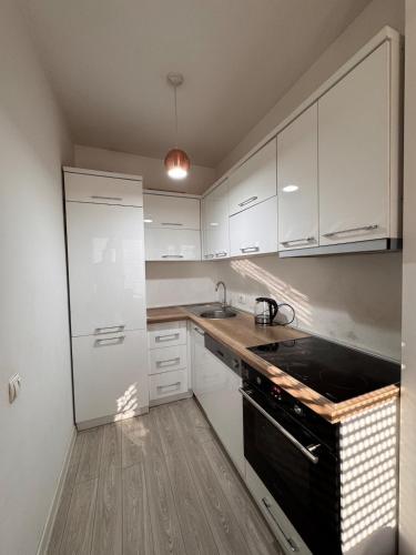 Cuina o zona de cuina de DL Apartment