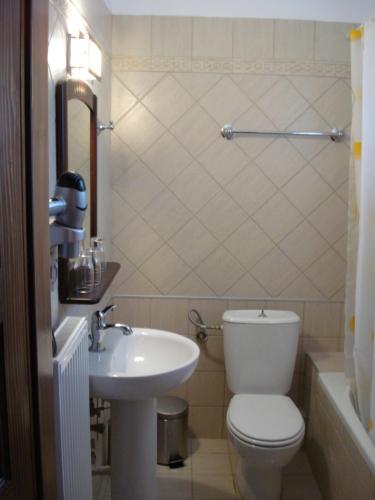 a bathroom with a toilet and a sink at Prespa Resort & Spa in Platy