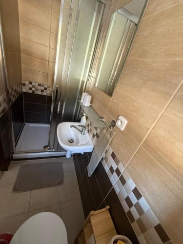 a small bathroom with a toilet and a sink at Pension Hones in Horská Kvilda