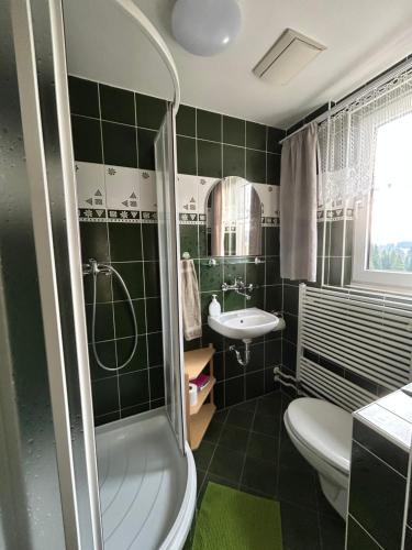a bathroom with a shower and a toilet and a sink at Pension Hones in Horská Kvilda