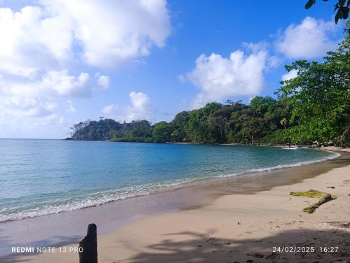 a beach with the ocean and trees in the background at Hostal Portobelo in Portobelo