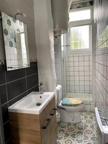 une salle de bain avec un lavabo et des toilettes et une fenêtre dans l'établissement Appartement cosy, à Charleville-Mézières