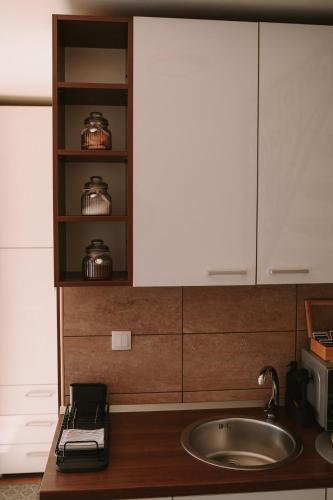 a kitchen counter with a sink and a microwave at Matino Apartment 1 in Valjevo