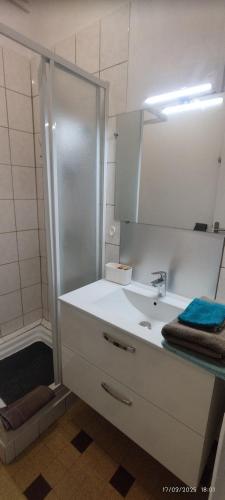 La salle de bains est pourvue d'une douche et d'un lavabo blanc. dans l'établissement Joli F1 au coeur de Paray, à Paray-le-Monial