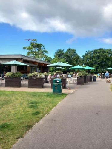 a group of people sitting at tables with green umbrellas at Regis Lodge Guest House in Bognor Regis