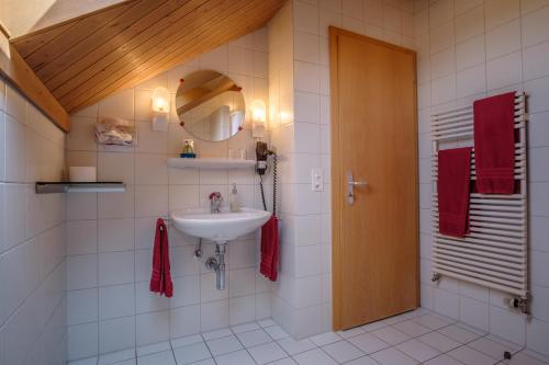 a bathroom with a sink and a mirror at Camping Wagenhausen in Wagenhausen