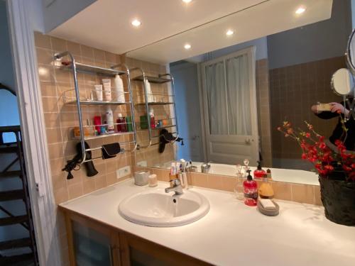 une salle de bain avec un lavabo et un miroir dans l'établissement Chambre bleue et or 16m2 chez l'habitant dans appartement 100m2 centre ville, à Rennes