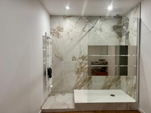 une salle de bain avec une douche avec une porte vitrée dans l'établissement La Lutherie Chappuy, à Mirecourt