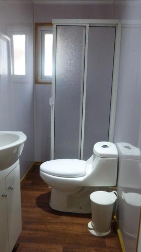a bathroom with a toilet and a shower and a sink at Cabañas las Hortensias in Valdivia
