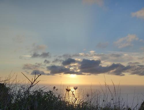 Naturlandschaft in der Nähe des Bed & Breakfasts