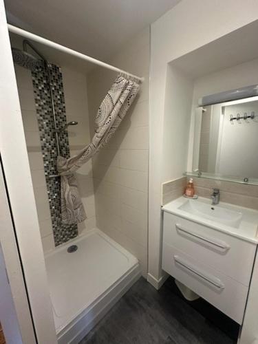 une petite salle de bain avec un lavabo et une douche dans l'établissement APPARTEMENT T2 4 PERSONNES Wifi et Climatisation, à Luchon