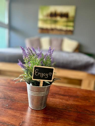 a small pot of purple flowers on a table at Apartment Gelassenheit Geyersberg - dein exklusiver Ort zum Ankommen & Genießen in Freyung