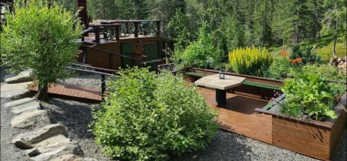 Κήπος έξω από το Cabin Room on DaVita Ranch