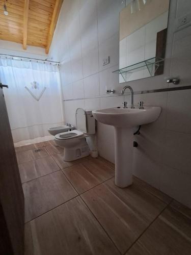 a bathroom with a sink and a toilet at Departamentos San Benito in Malargüe