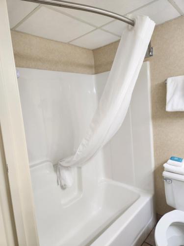 a bathroom with a tub and a toilet with a shower curtain at The Boardwalk Inn in Branson