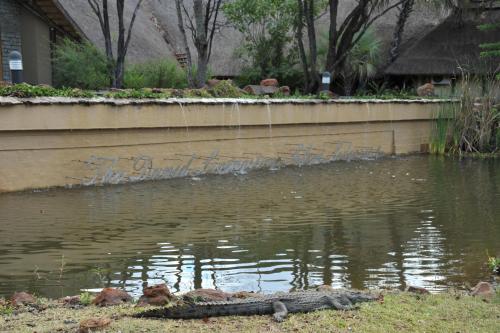 a crocodile in the water next to a wall at The David Livingstone Safari Lodge & Spa in Livingstone