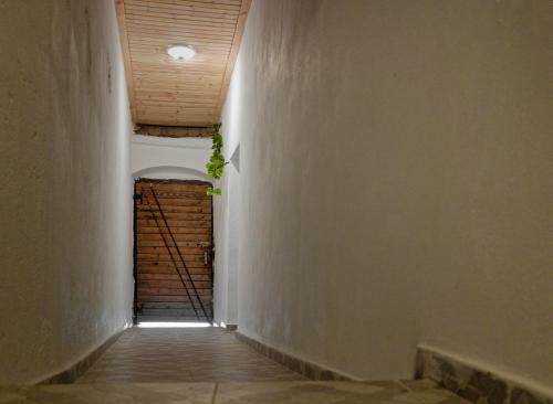 un couloir vide avec une porte et une plante dans l'établissement ,, LA MAISON CONCORDIA '', à Cincu