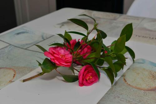 a bouquet of pink roses sitting on a table at Apartments Boka bay in Kotor