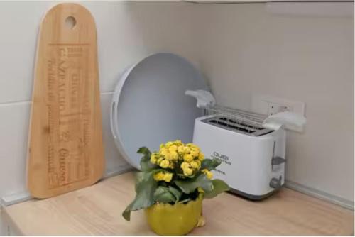 City Studio Apartment Miriam, Sea View