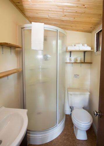 a bathroom with a shower and a toilet and a sink at The Pines Cottage Resort in Oxtongue Lake