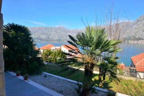 a view of a body of water with palm trees at Apartments Boka bay in Kotor