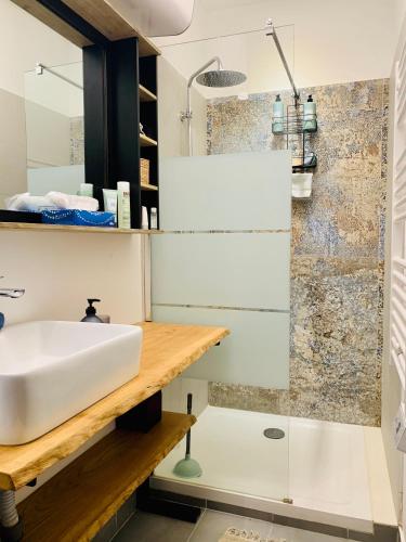 une salle de bain avec un lavabo et une douche dans l'établissement 2p 38m2 historic center & old world charm, à Montpellier