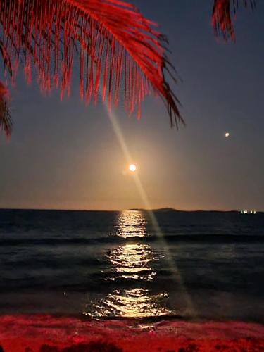 a sunset on the beach with a palm tree at Best Beach in PR! Beachfront 6 Bedr & Food Forest in Luquillo