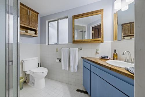 a bathroom with a toilet and a sink at Mid-Century-Modern Mountain Gem in Placerville