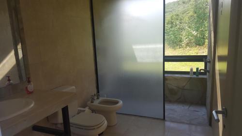 a bathroom with a toilet and a sink and a shower at La Montaña in Salta