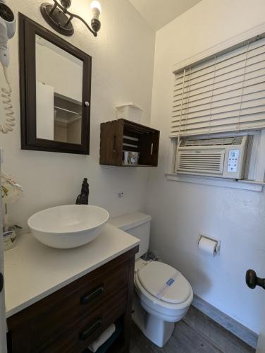 a bathroom with a sink and a toilet and a mirror at Squaw Valley Motel Room 4 in Squaw Valley