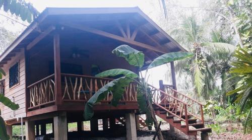 a house with a wooden deck in a forest at Stunning Jungle Refuge Close to Town in Bullet Tree Falls