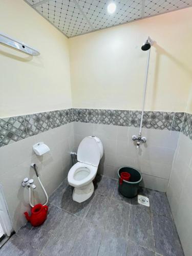 a bathroom with a toilet and a shower at Ibex Riverside Cottage Neelum Valley in Kundālshai