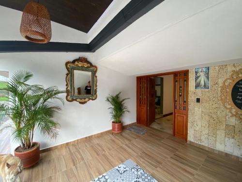 a living room with a mirror and two plants at Villa Fátima dapa in Yumbo