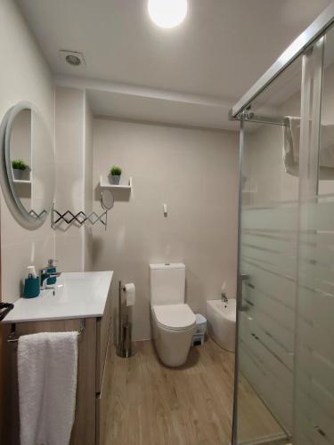 a bathroom with a toilet and a sink and a shower at Casa Rural Feymar in Peraleda de San Román
